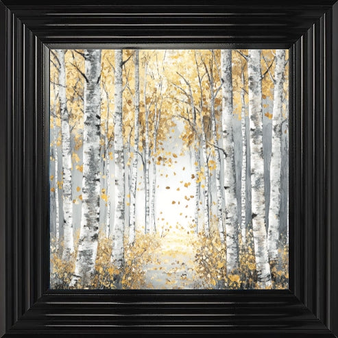 Silver Birch Moody Gold Leaves