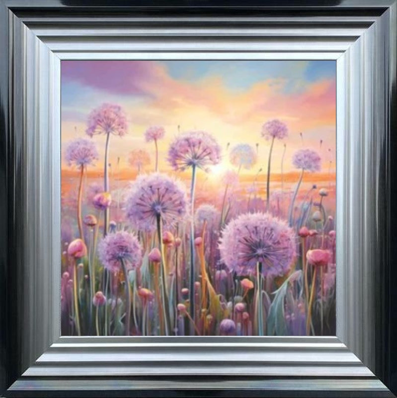 Pastel Allium Sunrise