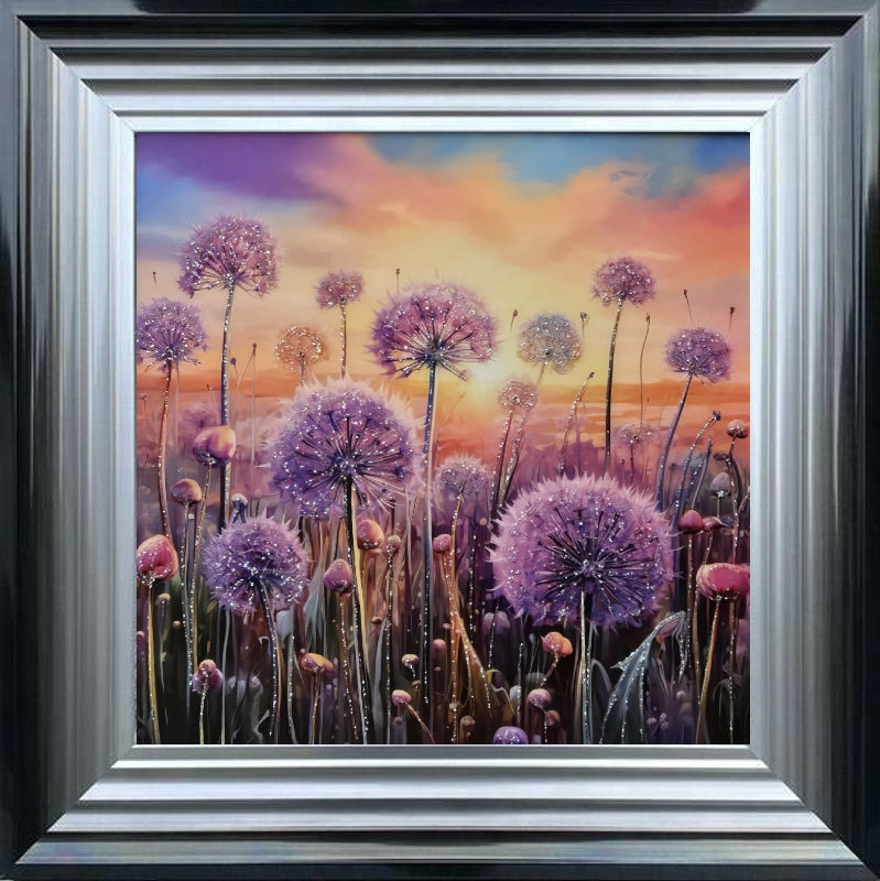 Pastel Allium Sunrise