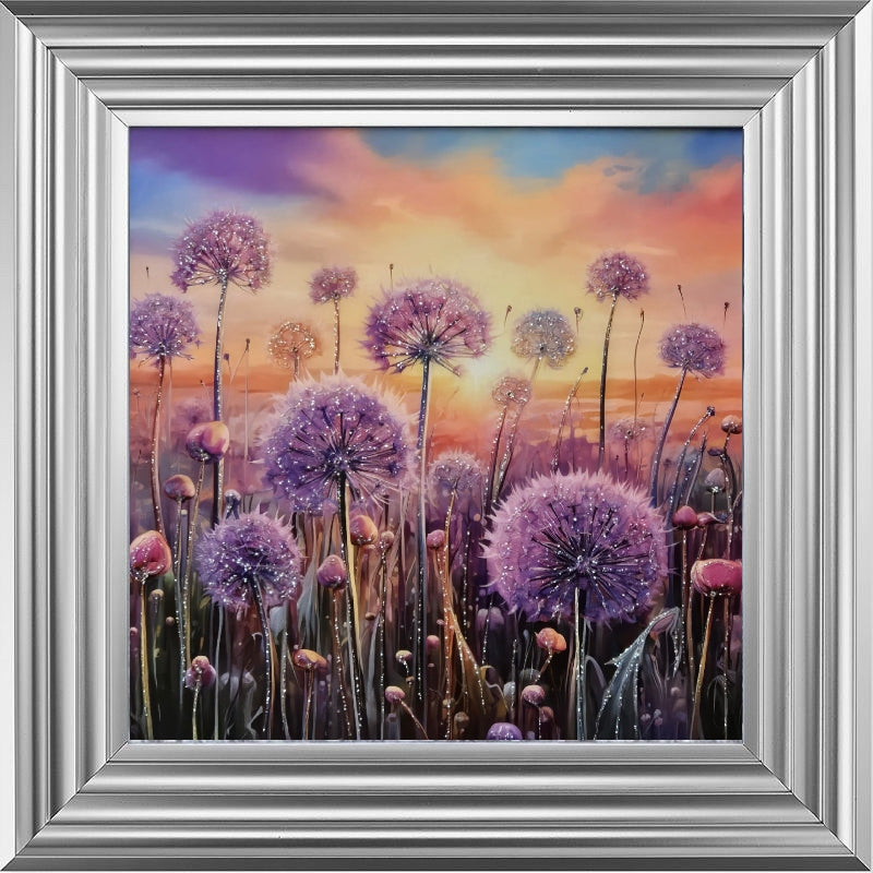 Pastel Allium Sunrise