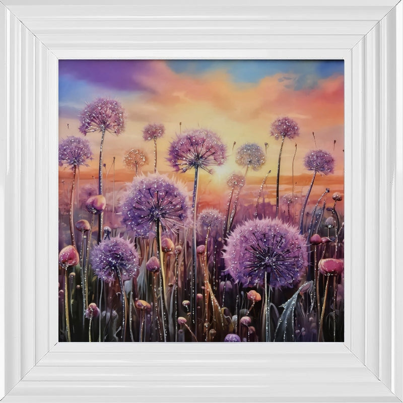 Pastel Allium Sunrise