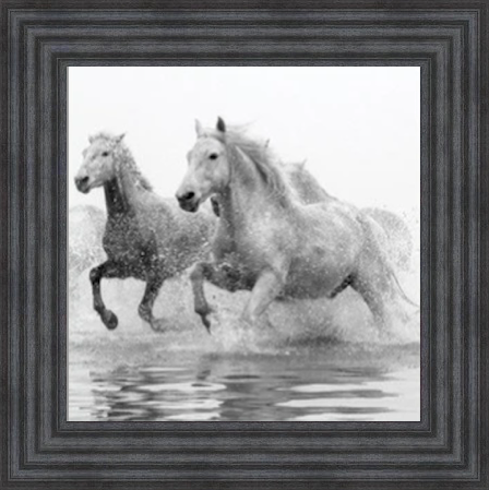 White Horses