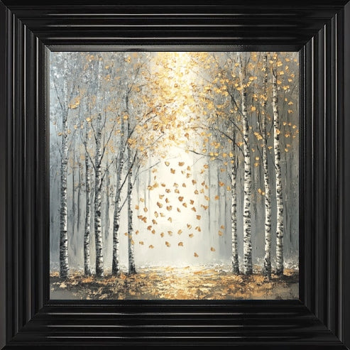 Silver Birch Moody Gold