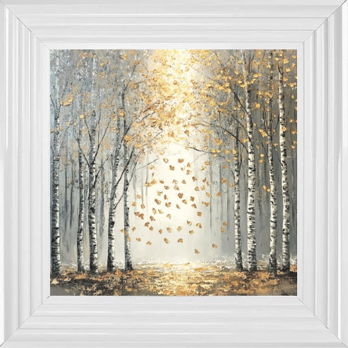 Silver Birch Moody Gold