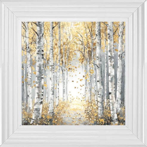 Silver Birch Moody Gold Leaves