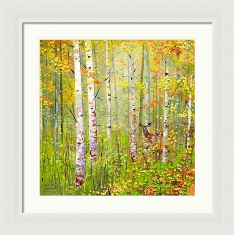 Silver Birches In Spring by Daniel Campbell