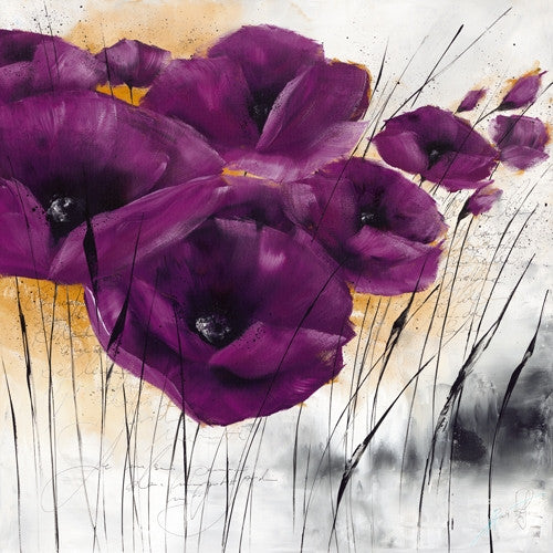 Pavot violet IV by Isabelle Zacher-Finet