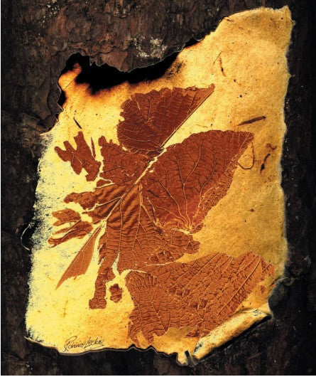 Amber Leaf (map of Scotland) by Ronnie Leckie